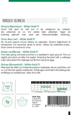 Horti tops zaden groene bloemkool, white gold - afbeelding 2