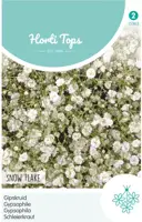 Horti tops zaden gypsophila, Gipskruid dubbelbloemig wit kopen?