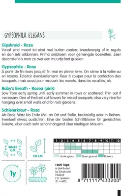 Horti tops zaden gypsophila, Gipskruid elegans roze - afbeelding 2