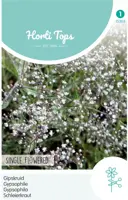 Horti tops zaden gypsophila, gipskruid enkelbloemig wit kopen?