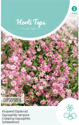 Horti tops zaden gypsophila, kruipend gipskruid rose - afbeelding 1