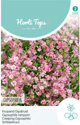 Horti tops zaden gypsophila, kruipend gipskruid rose - afbeelding 1