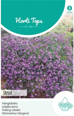 Horti tops zaden, Hanglobelia saphir - afbeelding 1