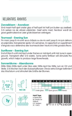 Horti tops zaden helianthus, zonnebloem evening sun/avondzon - afbeelding 2
