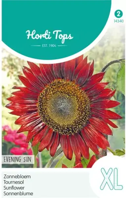 Horti tops zaden helianthus, zonnebloem evening sun/avondzon - afbeelding 1