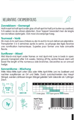 Horti tops zaden helianthus, zonnebloem gemengd - afbeelding 2