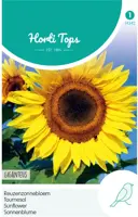 Horti tops zaden helianthus, zonnebloem giganteus - afbeelding 1