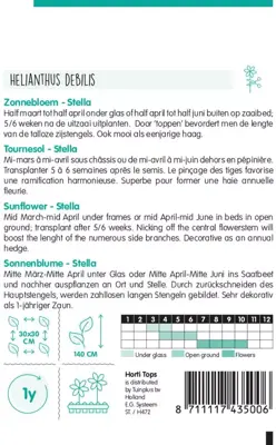 Horti tops zaden helianthus, zonnebloem stella - afbeelding 2