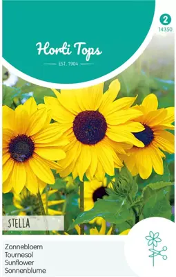 Horti tops zaden helianthus, zonnebloem stella - afbeelding 1