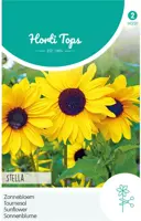 Horti tops zaden helianthus, zonnebloem stella - afbeelding 1