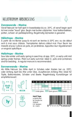 Horti tops zaden heliotropium, zonnewende marine blauw - afbeelding 2