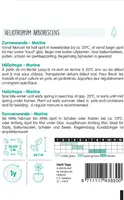 Horti tops zaden heliotropium, zonnewende marine blauw - afbeelding 2