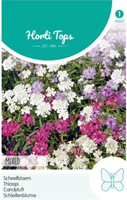 Horti tops zaden iberis, scheefbloem gemengd - afbeelding 1