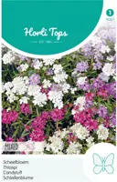 Horti tops zaden iberis, scheefbloem gemengd - afbeelding 1