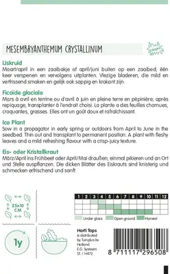 Horti tops zaden IJskruid - afbeelding 2