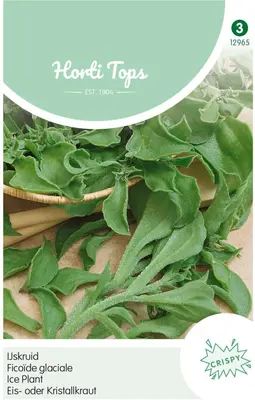 Horti tops zaden IJskruid - afbeelding 1