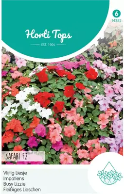 Horti tops zaden Impatiens, Vlijtig Liesje safari - afbeelding 1