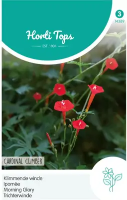 Horti tops zaden Ipomoea, Klimmende Winde, Cardinal Climber - afbeelding 1