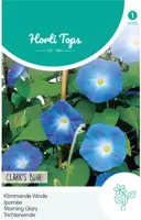 Horti tops zaden ipomoea, klimmende winde clark's blue - afbeelding 1