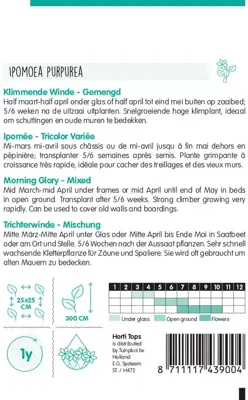 Horti tops zaden ipomoea, klimmende winde gemengd - afbeelding 2