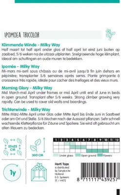 Horti tops zaden ipomoea, klimmende winde milky way - afbeelding 2