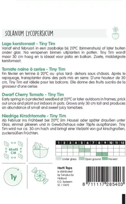 Horti tops zaden kerstomaat tiny tim - afbeelding 2