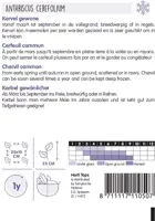 Horti tops zaden kervel - afbeelding 2