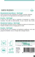 Horti tops zaden knautia macedonica red knight - afbeelding 2