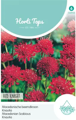 Horti tops zaden knautia macedonica red knight - afbeelding 1