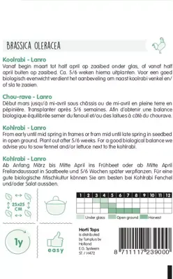 Horti tops zaden koolrabi lanro - afbeelding 2