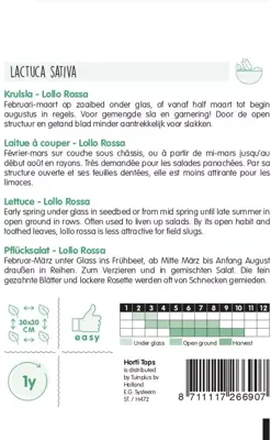 Horti tops zaden krulsla lollo rossa - afbeelding 2