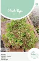 Horti tops zaden krulsla lollo rossa - afbeelding 1