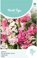 Horti tops zaden lathyrus, brede lathyrus gemengd kopen?