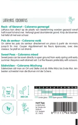 Horti tops zaden lathyrus, reuk- of siererwt colorama gemengd - afbeelding 2