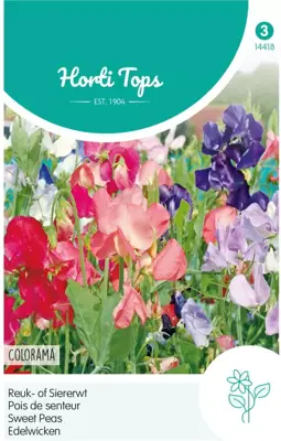 Horti tops zaden lathyrus, reuk- of siererwt colorama gemengd - afbeelding 1