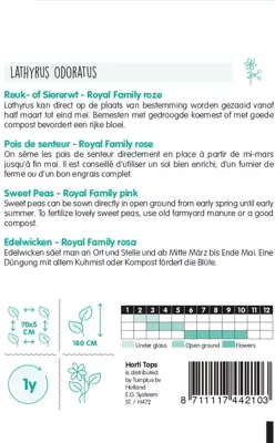 Horti tops zaden lathyrus, reuk- of siererwt royal family roze - afbeelding 2