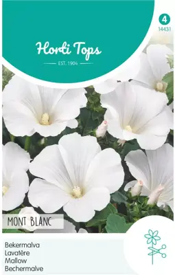 Horti tops zaden Lavatera, Bekermalva mont blanc - afbeelding 1