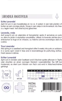 Horti tops zaden lavendel - afbeelding 2