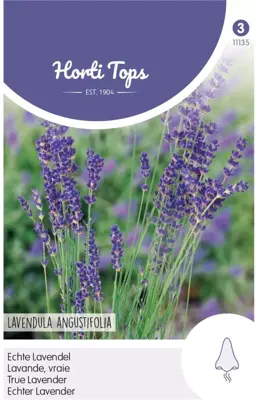 Horti tops zaden lavendel - afbeelding 1