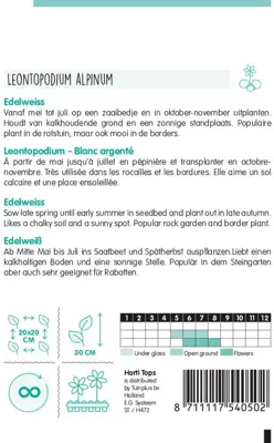 Horti tops zaden leontopodium alpinum, edelweiss - afbeelding 2