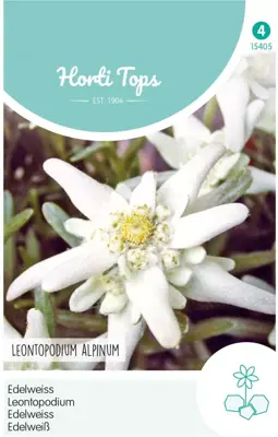 Horti tops zaden leontopodium alpinum, edelweiss - afbeelding 1