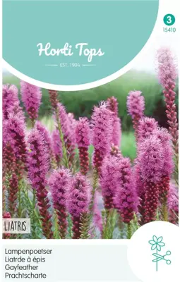 Horti tops zaden liatris, lampenpoetser purperrose - afbeelding 1