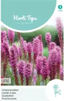 Horti tops zaden liatris, lampenpoetser purperrose kopen?