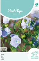 Horti tops zaden linum, vlas blauw kopen?