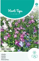 Horti tops zaden lobelia parelsnoer gemengd - afbeelding 1