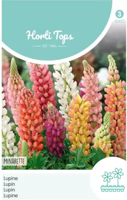 Horti tops zaden lupinus, lupine minarette gemengd - afbeelding 1