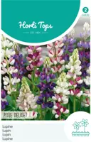 Horti tops zaden lupinus, lupine pixie delight gemengd - afbeelding 1