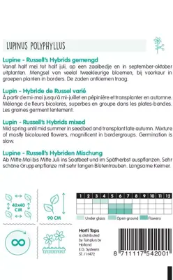 Horti tops zaden lupinus, Lupine russell's hybrids gemengd - afbeelding 2