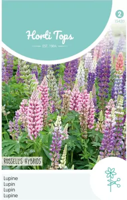 Horti tops zaden lupinus, Lupine russell's hybrids gemengd - afbeelding 1