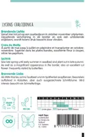 Horti tops zaden lychnis, brandende liefde - afbeelding 2